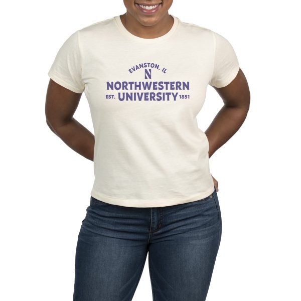 USCAPE Northwestern University Banner High Waisted Tee, Vintage White For Sale