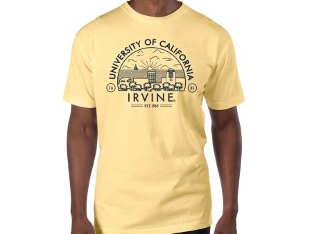 USCAPE UC Irvine Voyager Short Sleeve Tee, Lemonade Online