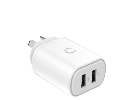 12W USB-A Dual Port Wall Charger For Cheap